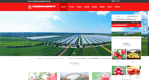 企業(yè)網(wǎng)站、程序軟件App解決方案
